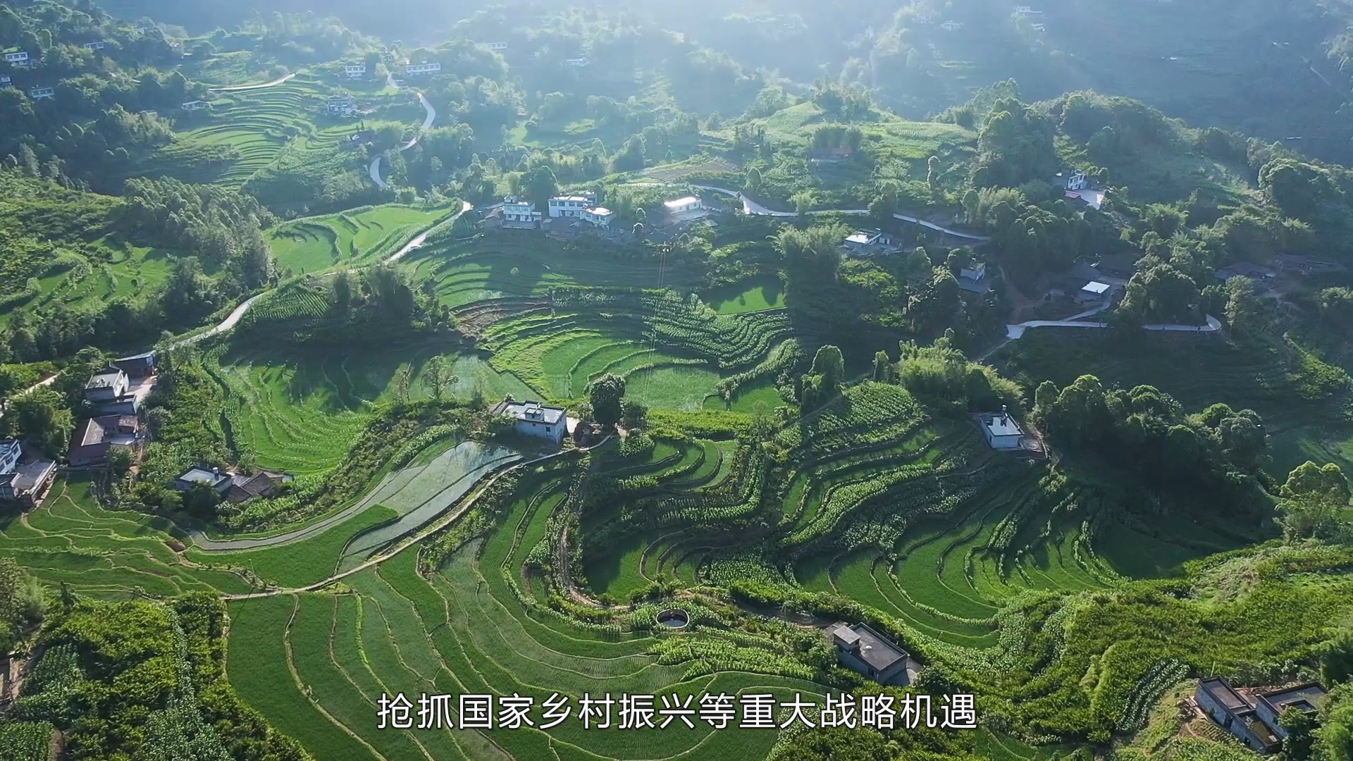 西部農(nóng)投 宣傳片 (4).jpg
