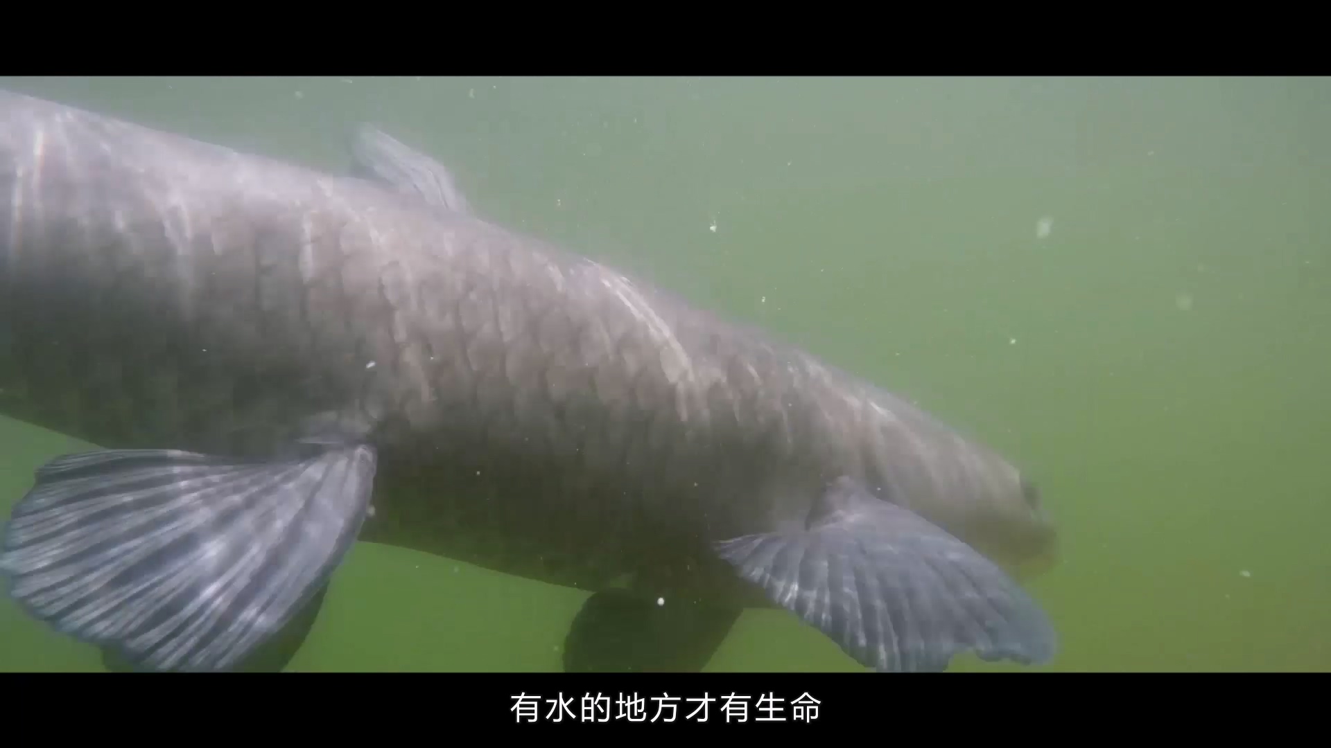 西部風(fēng)集團(tuán)宣傳片 (4).jpg