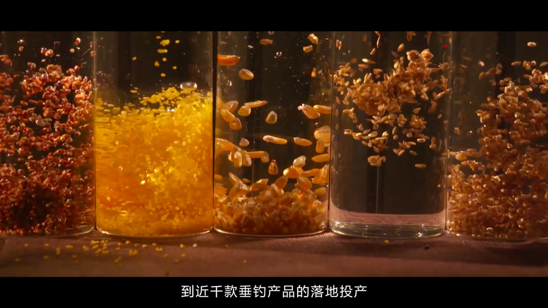 西部風(fēng)集團(tuán)宣傳片 (8).jpg