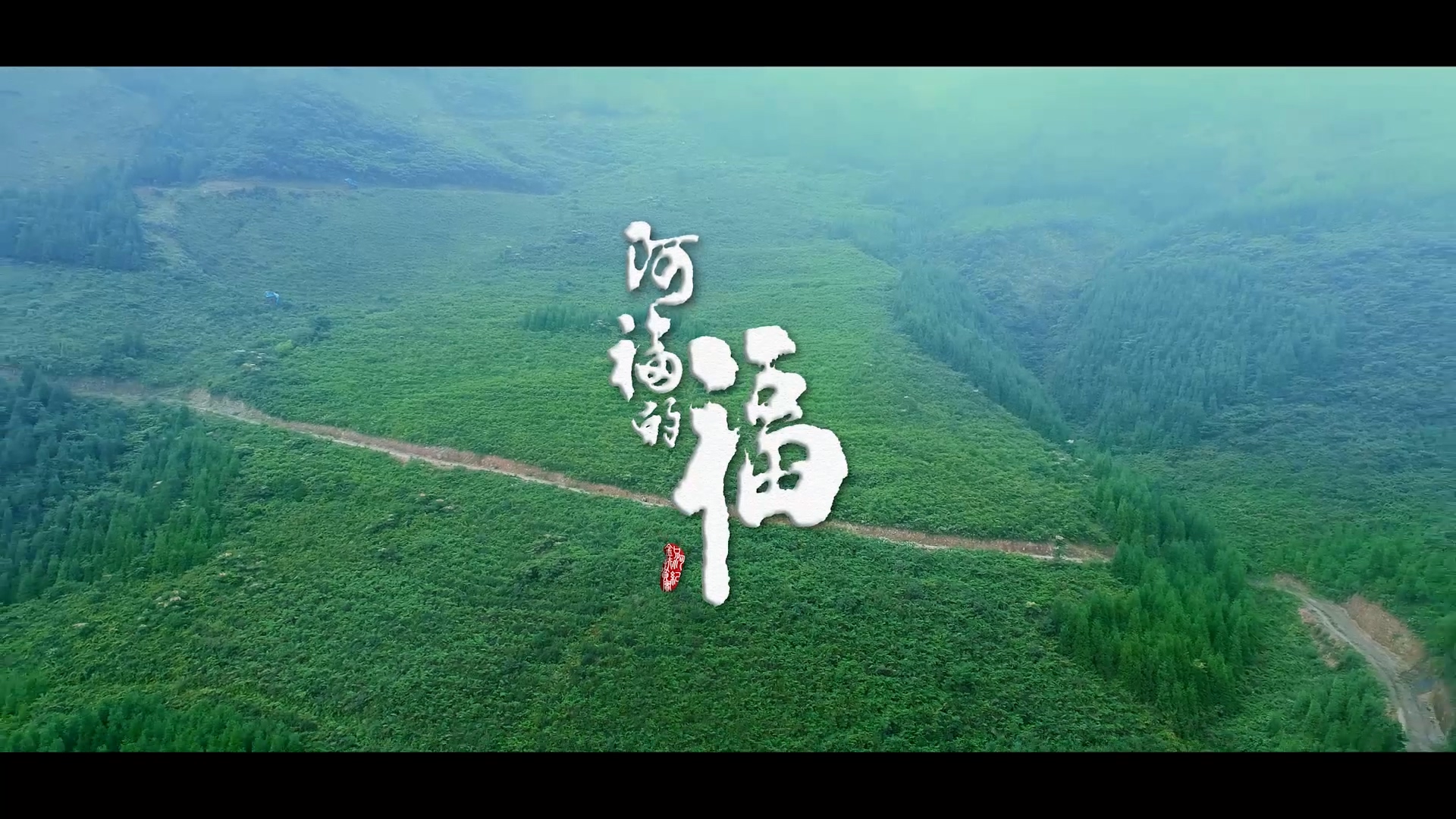 《阿福的?！芳o錄片
